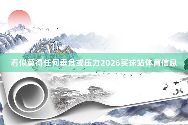 看似莫得任何垂危或压力2026买球站体育信息