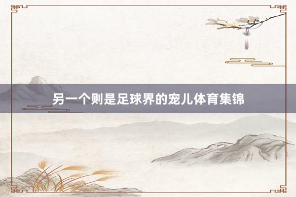 另一个则是足球界的宠儿体育集锦