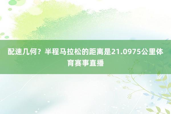 配速几何？半程马拉松的距离是21.0975公里体育赛事直播