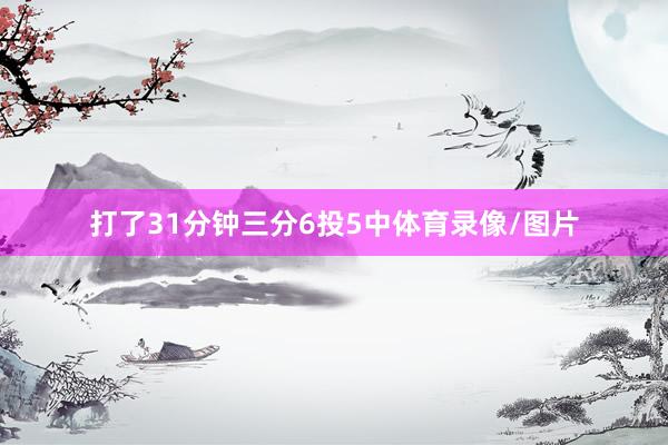 打了31分钟三分6投5中体育录像/图片