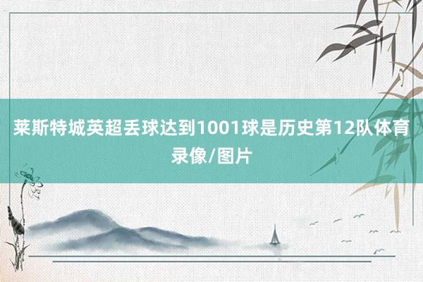 莱斯特城英超丢球达到1001球是历史第12队体育录像/图片