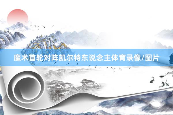 魔术首轮对阵凯尔特东说念主体育录像/图片