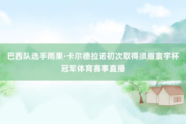 巴西队选手雨果·卡尔德拉诺初次取得须眉寰宇杯冠军体育赛事直播