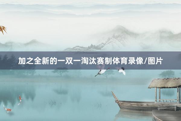加之全新的一双一淘汰赛制体育录像/图片