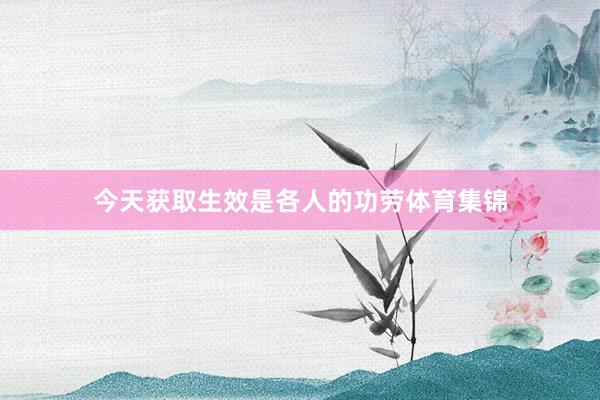 今天获取生效是各人的功劳体育集锦