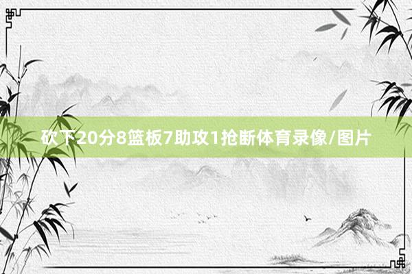 砍下20分8篮板7助攻1抢断体育录像/图片