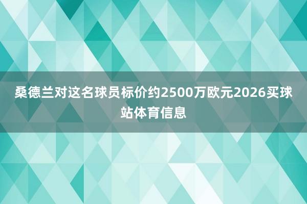 桑德兰对这名球员标价约2500万欧元2026买球站体育信息