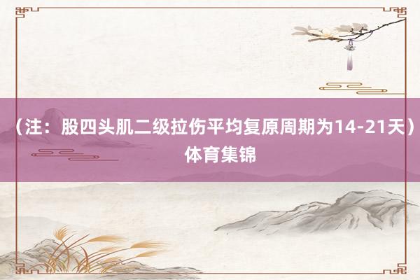 （注：股四头肌二级拉伤平均复原周期为14-21天）    体育集锦