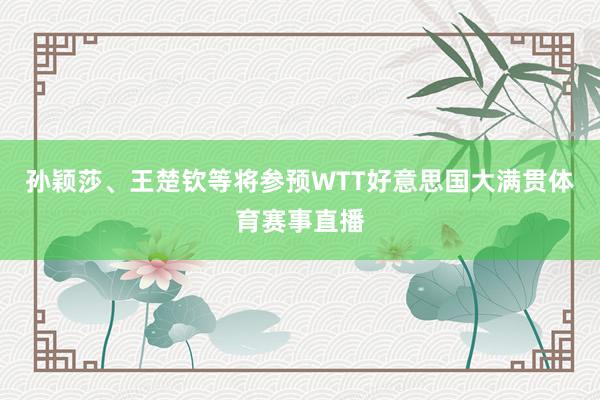 孙颖莎、王楚钦等将参预WTT好意思国大满贯体育赛事直播