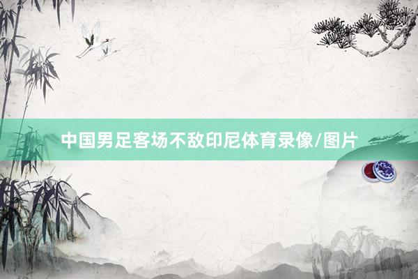 中国男足客场不敌印尼体育录像/图片