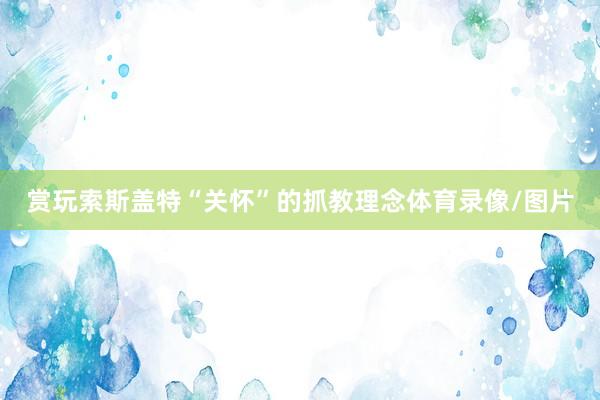 赏玩索斯盖特“关怀”的抓教理念体育录像/图片