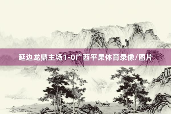 延边龙鼎主场1-0广西平果体育录像/图片