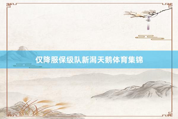 仅降服保级队新潟天鹅体育集锦