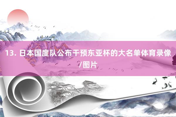 13. 日本国度队公布干预东亚杯的大名单体育录像/图片