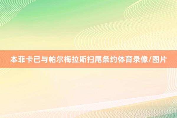 本菲卡已与帕尔梅拉斯扫尾条约体育录像/图片