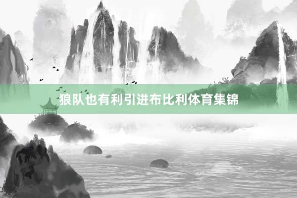 狼队也有利引进布比利体育集锦