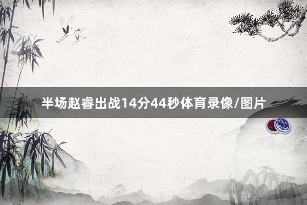 半场赵睿出战14分44秒体育录像/图片