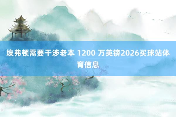 埃弗顿需要干涉老本 1200 万英镑2026买球站体育信息