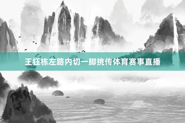 王钰栋左路内切一脚挑传体育赛事直播