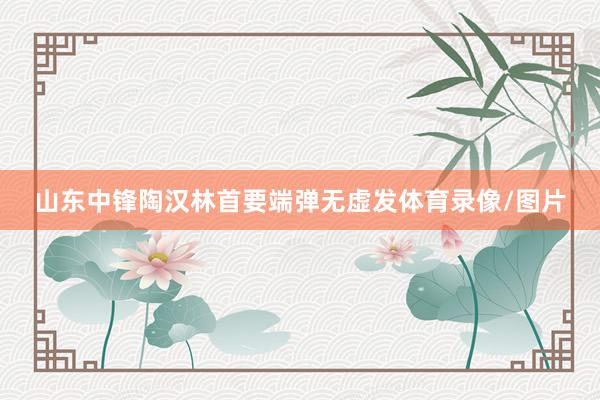 山东中锋陶汉林首要端弹无虚发体育录像/图片