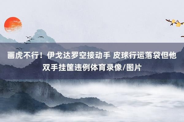 画虎不行！伊戈达罗空接动手 皮球行运落袋但他双手挂筐违例体育录像/图片