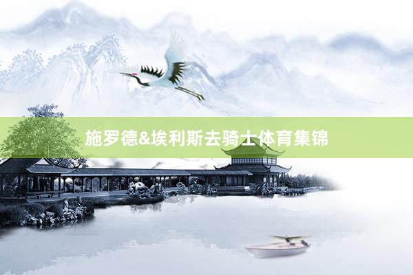 施罗德&埃利斯去骑士体育集锦