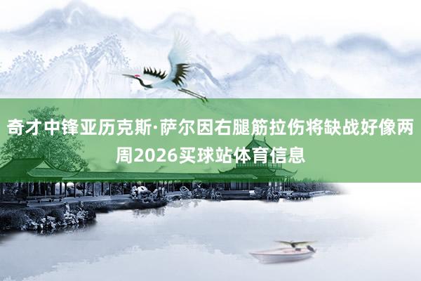 奇才中锋亚历克斯·萨尔因右腿筋拉伤将缺战好像两周2026买球站体育信息