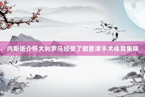 内斯塔介怀大利罗马经受了髋要津手术体育集锦