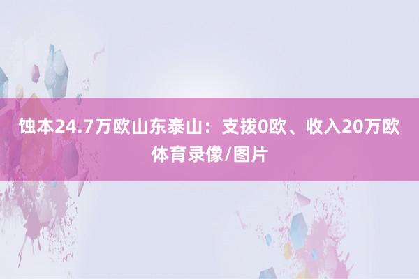 蚀本24.7万欧山东泰山：支拨0欧、收入20万欧体育录像/图片