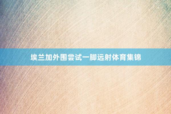 埃兰加外围尝试一脚远射体育集锦