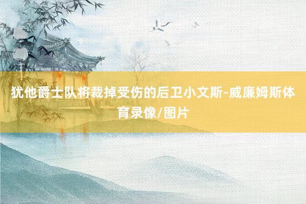 犹他爵士队将裁掉受伤的后卫小文斯-威廉姆斯体育录像/图片