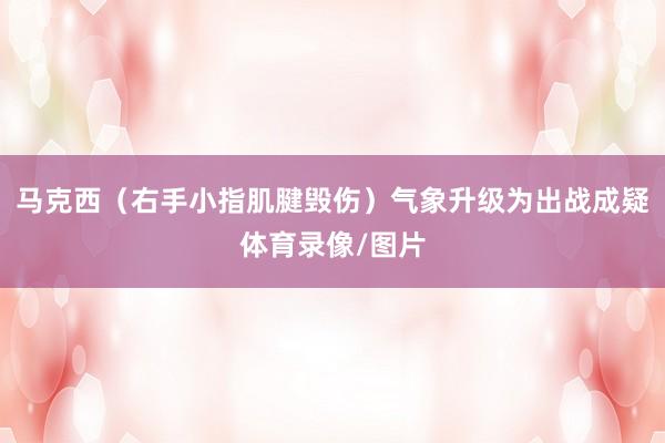 马克西(右手小指肌腱毁伤)气象升级为出战成疑体育录像/图片