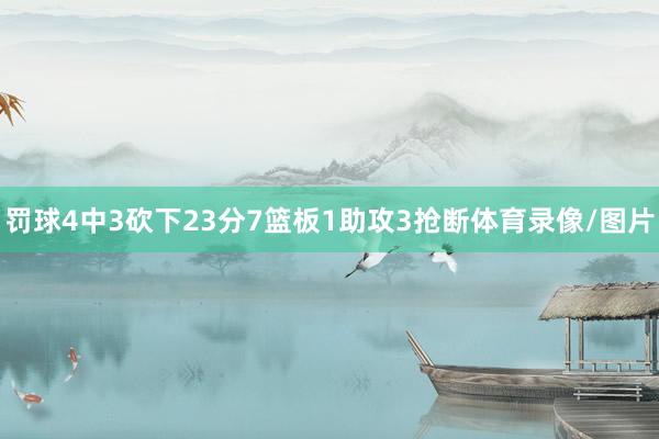 罚球4中3砍下23分7篮板1助攻3抢断体育录像/图片
