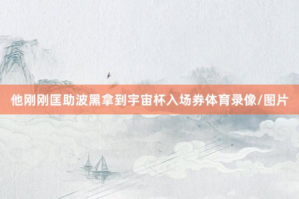 他刚刚匡助波黑拿到宇宙杯入场券体育录像/图片