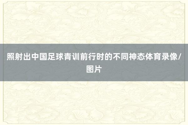照射出中国足球青训前行时的不同神态体育录像/图片