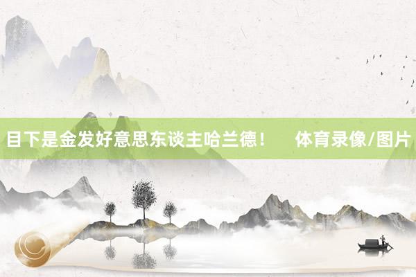 目下是金发好意思东谈主哈兰德！    体育录像/图片
