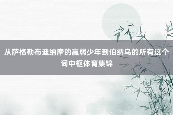 从萨格勒布迪纳摩的羸弱少年到伯纳乌的所有这个词中枢体育集锦