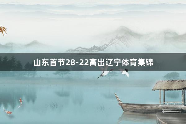 山东首节28-22高出辽宁体育集锦