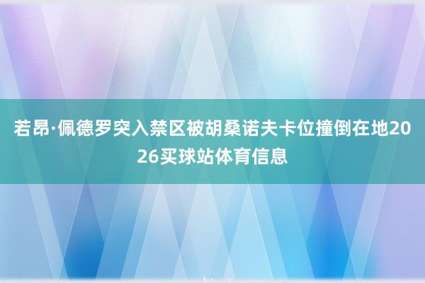 若昂·佩德罗突入禁区被胡桑诺夫卡位撞倒在地2026买球站体育信息