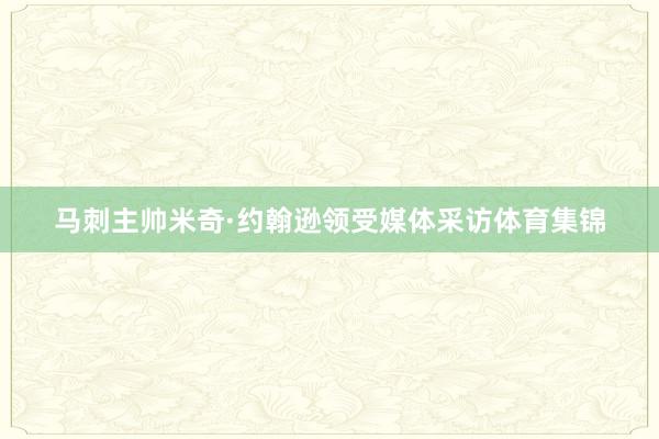 马刺主帅米奇·约翰逊领受媒体采访体育集锦