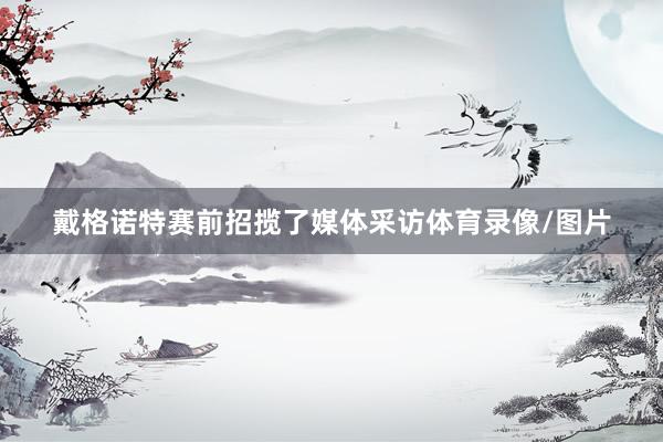 戴格诺特赛前招揽了媒体采访体育录像/图片