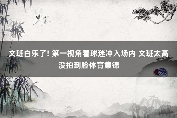 文班白乐了! 第一视角看球迷冲入场内 文班太高没拍到脸体育集锦