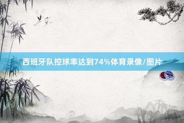 西班牙队控球率达到74%体育录像/图片