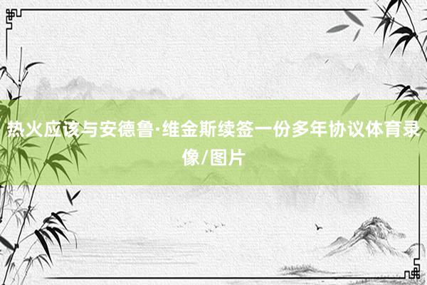 热火应该与安德鲁·维金斯续签一份多年协议体育录像/图片